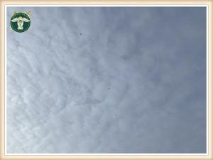 viber image 2023-11-27 23-08-04-940 wm